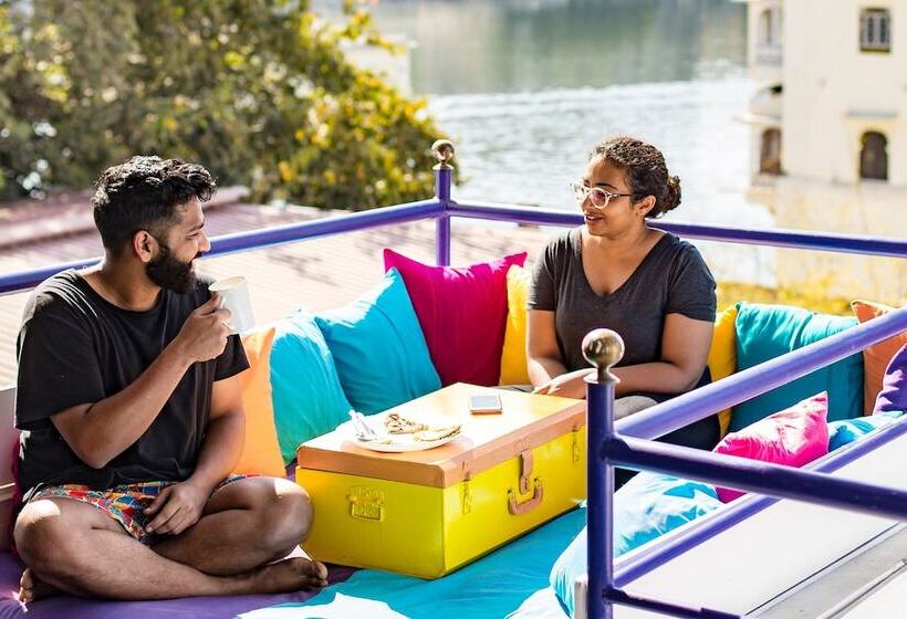 Gostops Udaipur   Hostel