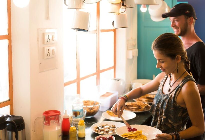 Gostops Udaipur   Hostel