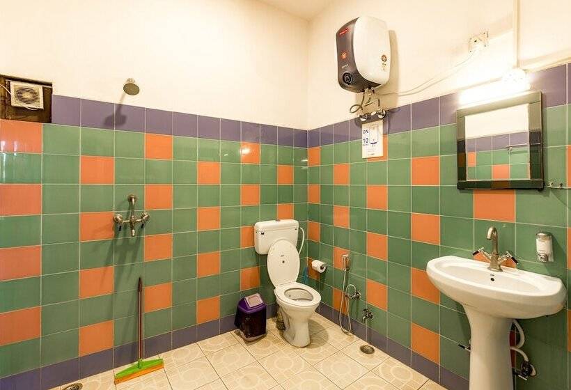 Gostops Udaipur   Hostel