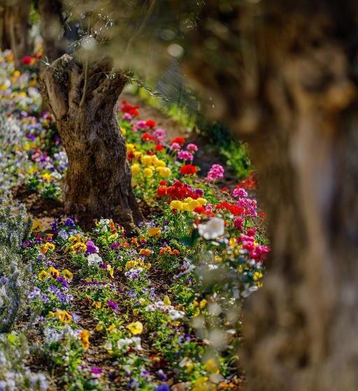 簡易ホテル Domo 20 Hotel & Rooftop