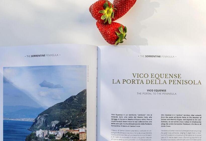 簡易ホテル Domo 20 Hotel & Rooftop