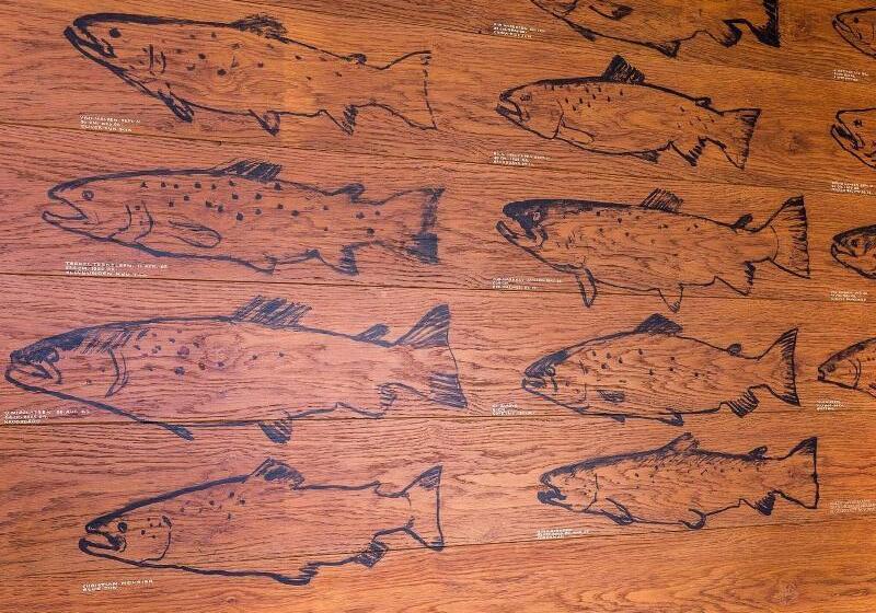 בית מלון כפרי Diagonalkroen