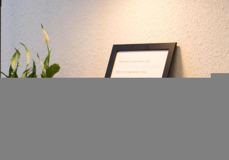 בית מלון כפרי Diagonalkroen