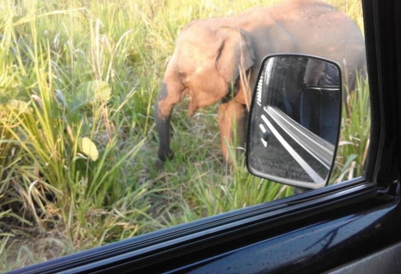 ホテル Khaya Villa