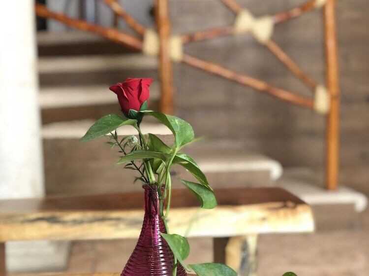 בית מלון כפרי Real Colonial