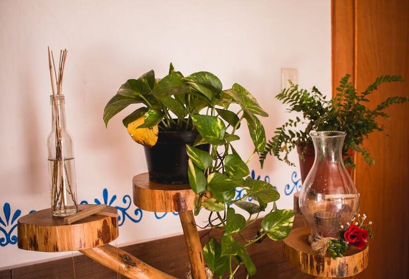 בית מלון כפרי Real Colonial