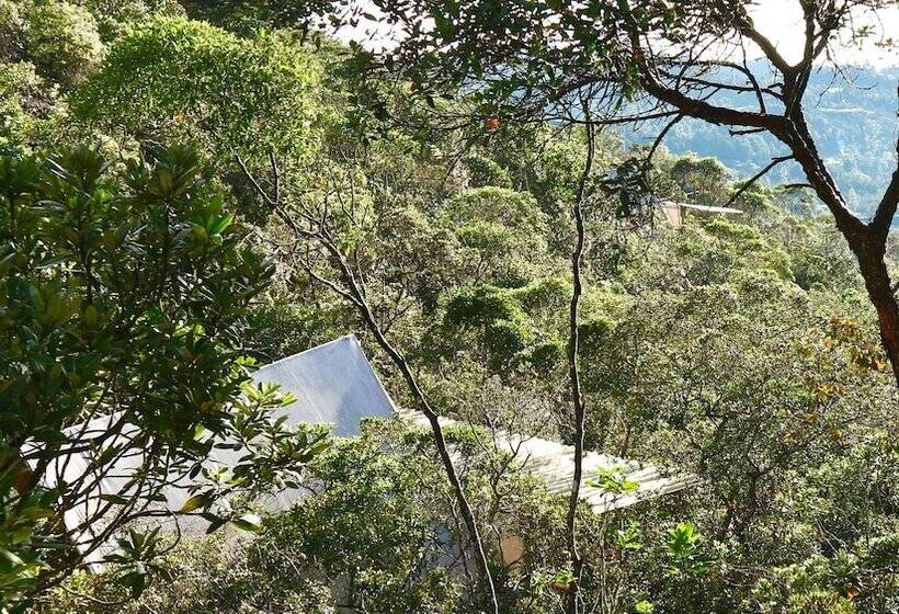 ホテル Salvaje Glamping