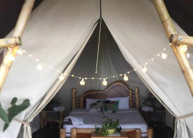 ホテル Salvaje Glamping