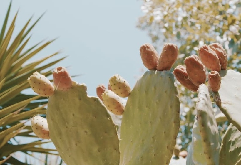 فندق The Bongos   Socially Conscious Rooms, Part Of The Room Rate Goes To Charity