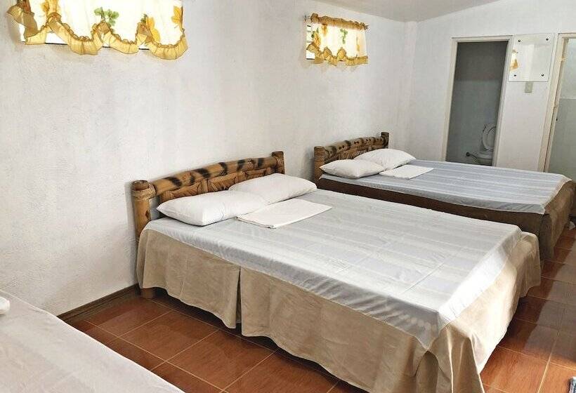 בית מלון כפרי The Pelicans Resort