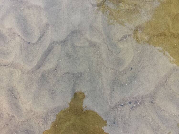 Kaimo Turizmo Sodyba Geras