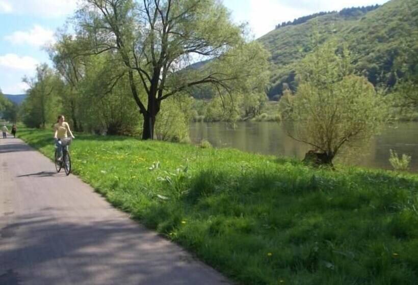 بنسيون Das Gästehaus In Valwig