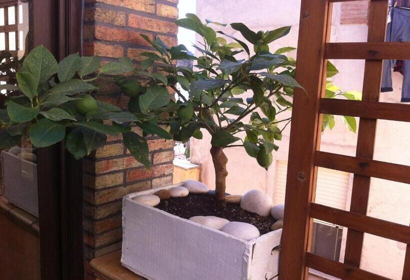 پانسیون Guest House La Corte Normanna