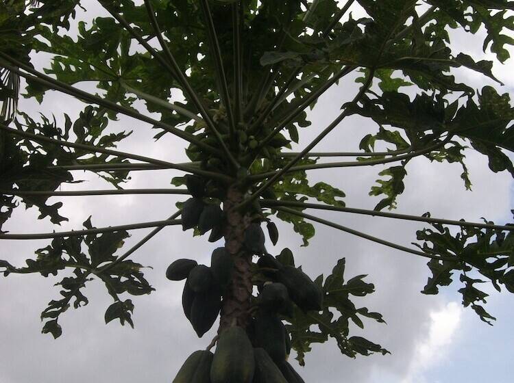 膳宿费 Indah Homestay And Cooking Classes