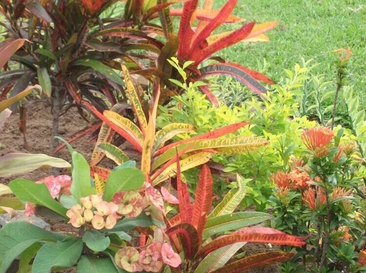 膳宿费 Indah Homestay And Cooking Classes