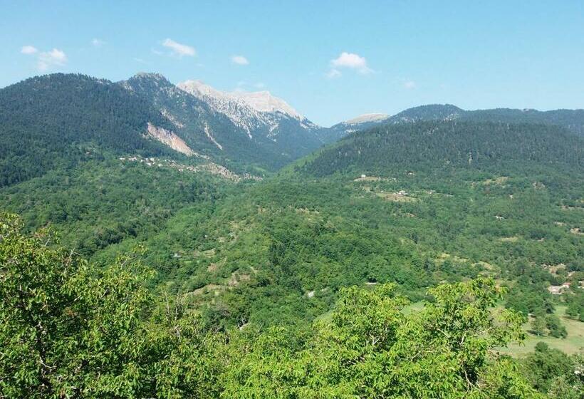 פנסיון Levanta