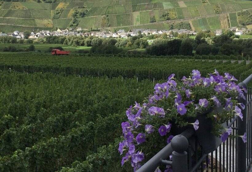 Weingut Pension Bastian