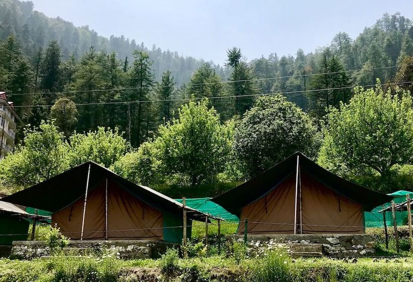 استراحتگاه Mashobra Greens