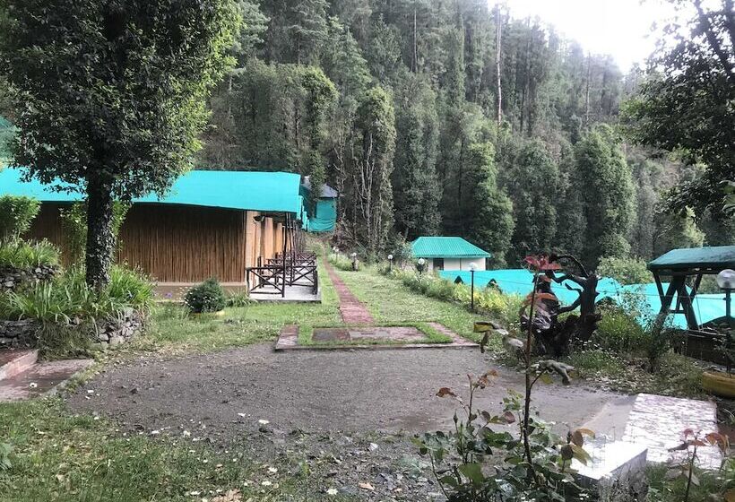 استراحتگاه Mashobra Greens