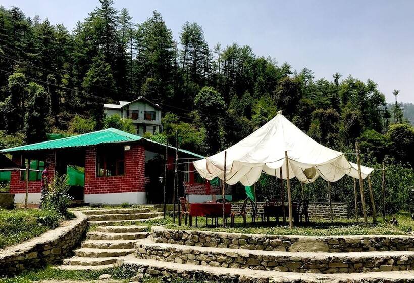 استراحتگاه Mashobra Greens