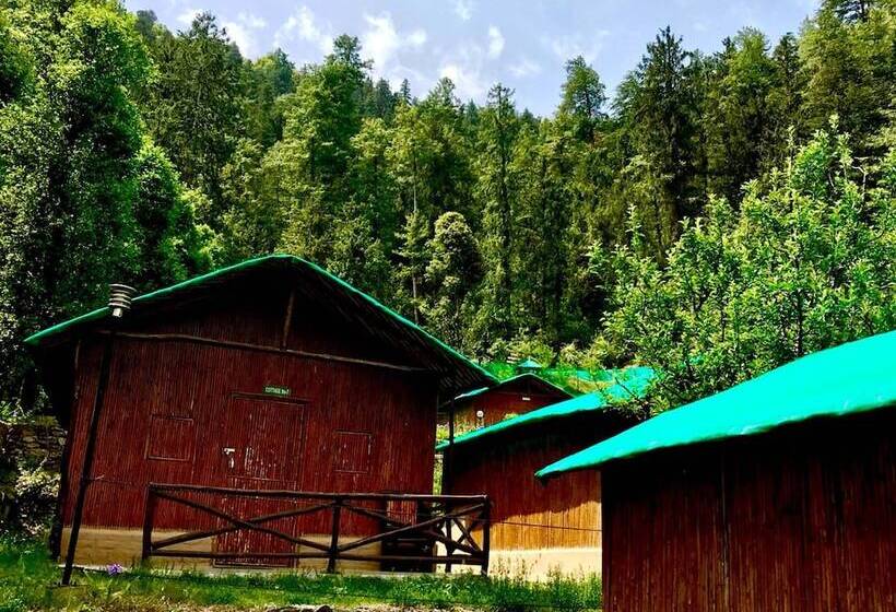 استراحتگاه Mashobra Greens