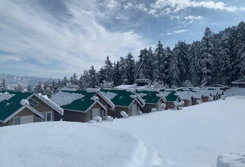 استراحتگاه Mashobra Greens