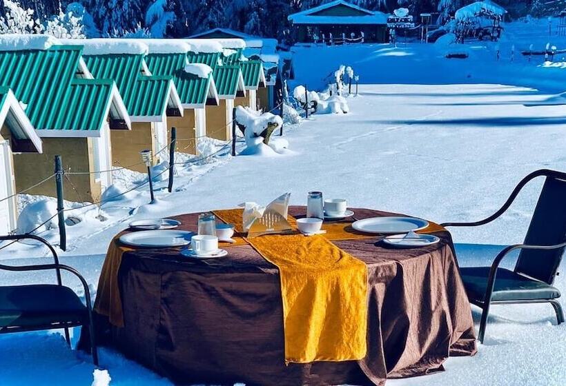 استراحتگاه Mashobra Greens