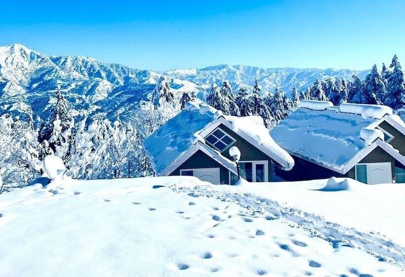 استراحتگاه Mashobra Greens