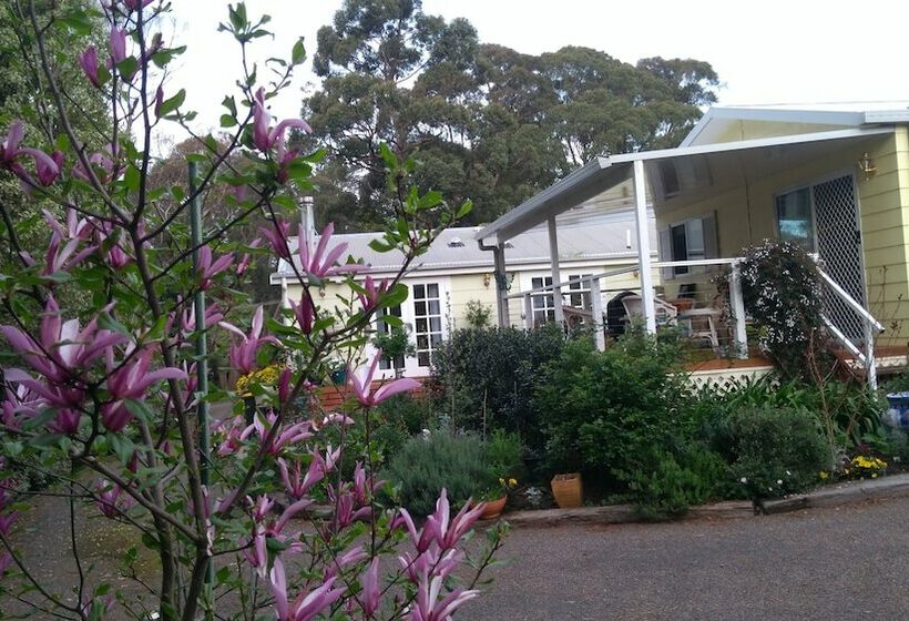 The Best Exotic Magnolia Cottage