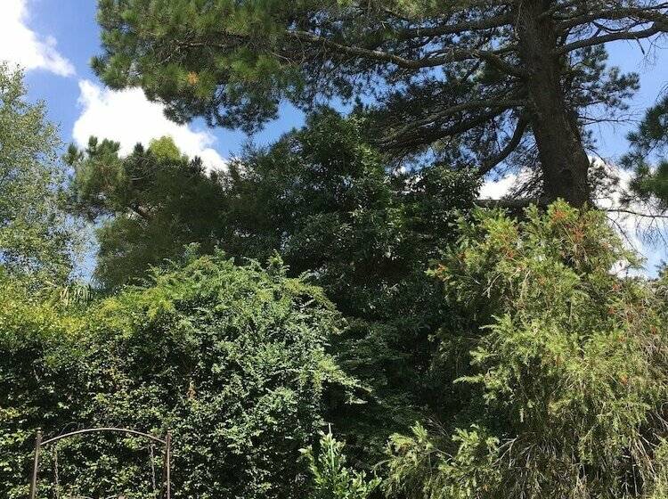 The Best Exotic Magnolia Cottage