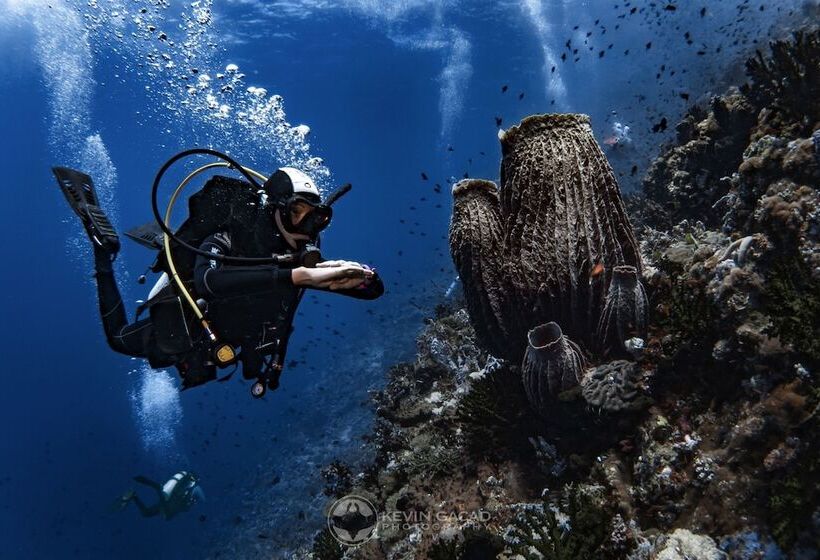 Badladz Staycation Condos