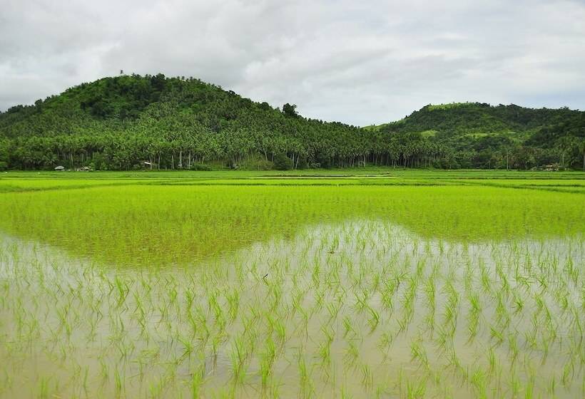 Badladz Staycation Condos