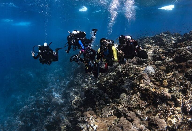 Badladz Staycation Condos