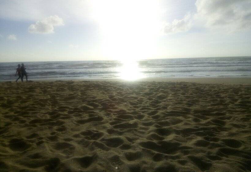 مبيت وإفطار Ocean Pebbles