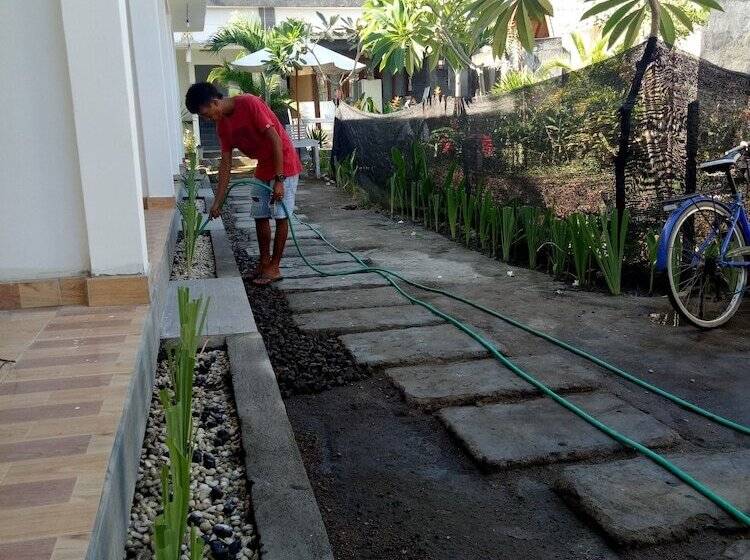 تختخواب و صبحانه Palm Trees Villas