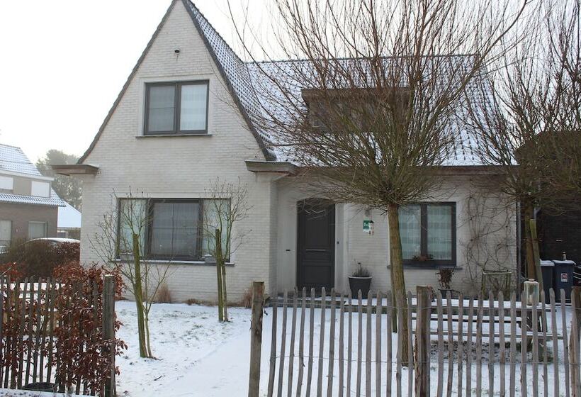 ベッドアンドブレックファースト Saffels Nest