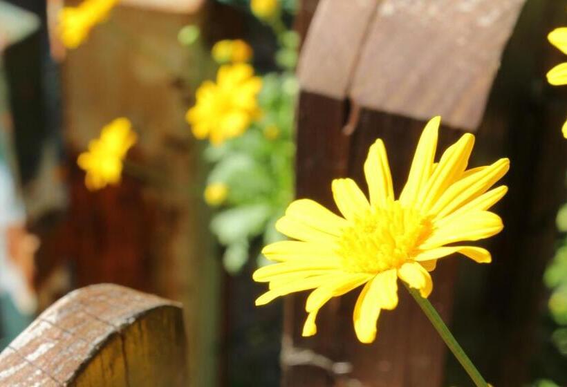 Casas De Pedra   Casa Da Avó