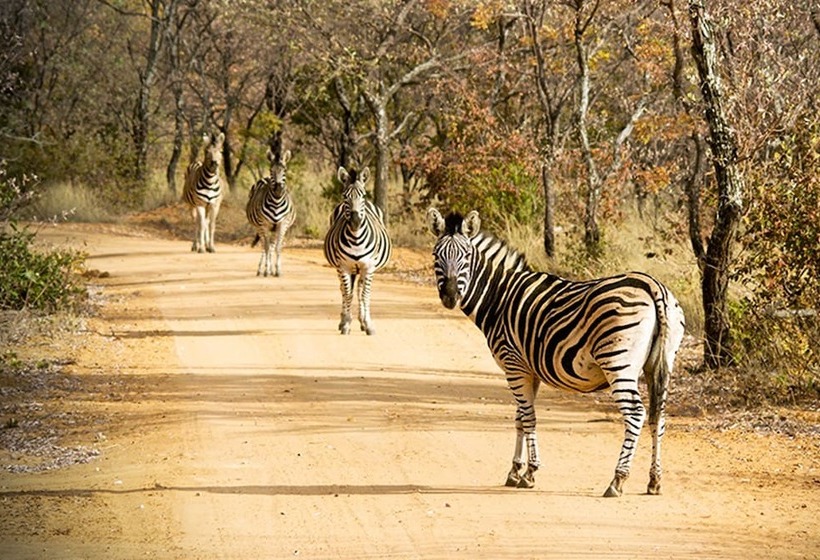 בית מלון כפרי Kaingo Game Reserve