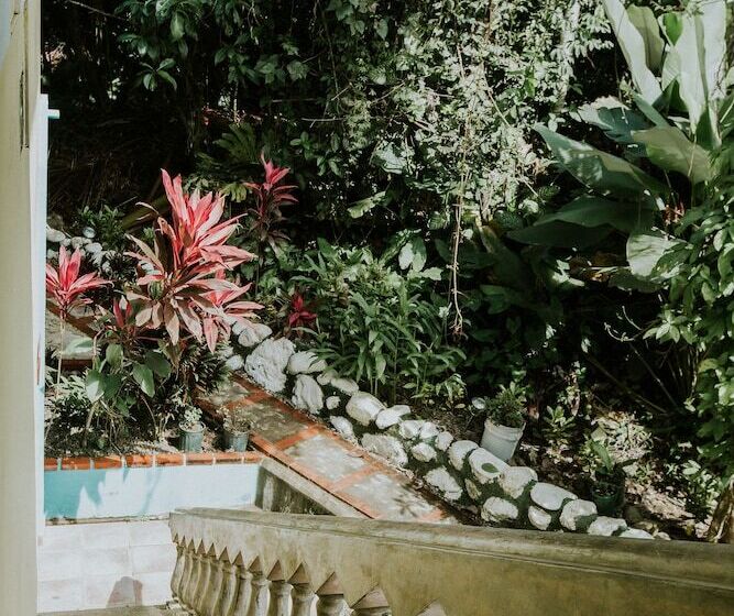 ホテル La Posada Jungle