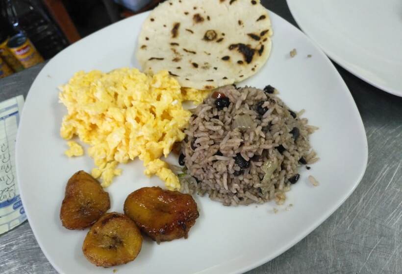 ホテル La Posada Jungle