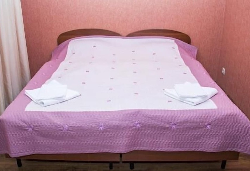 בית מלון כפרי Sosnoviy Bor