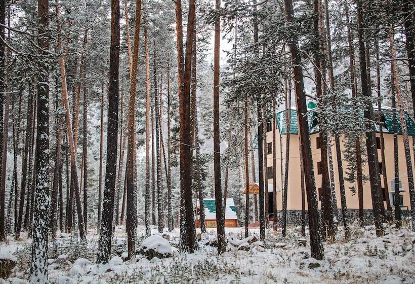 ホテル Sosnoviy Bor