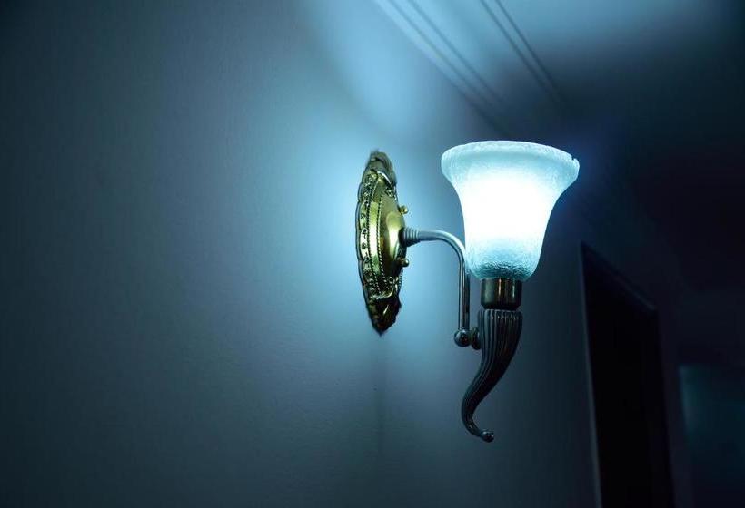 בית מלון כפרי The Olive Star