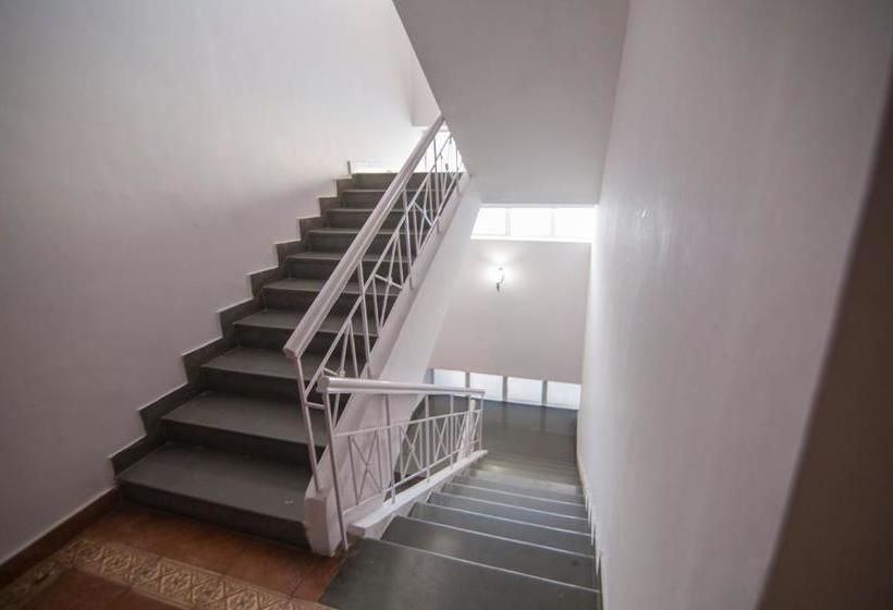 בית מלון כפרי The Olive Star