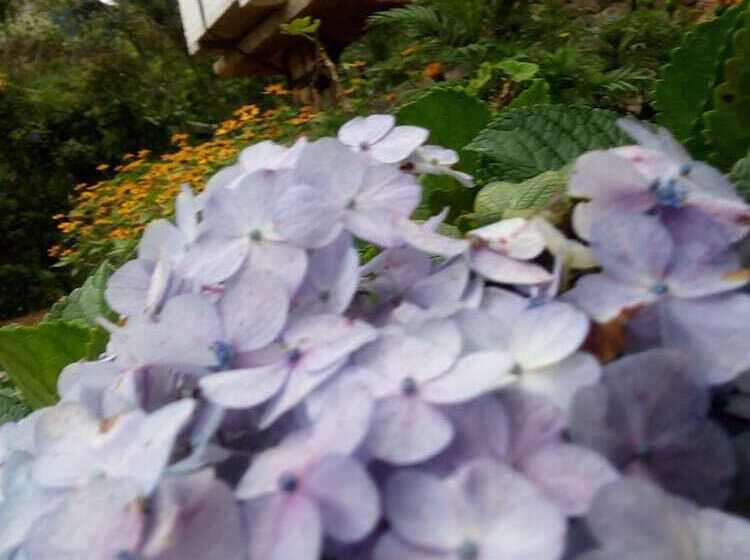 ペンション Adisham Village Home