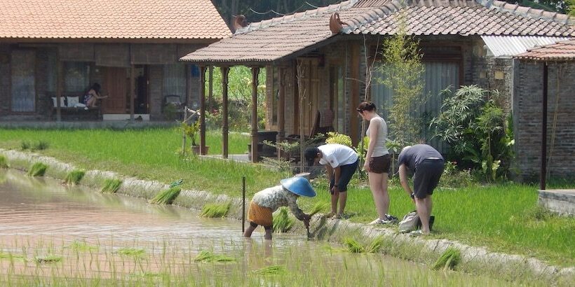 پانسیون Alamanda Family Villas & Pool