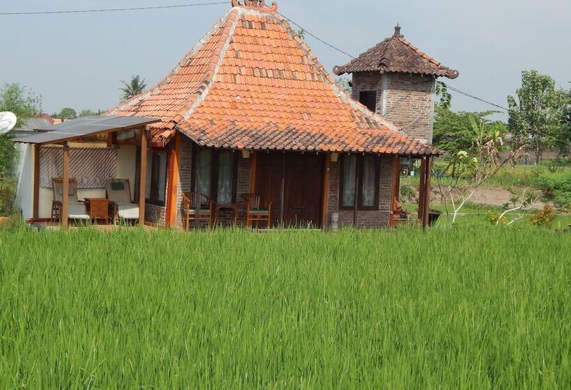 پانسیون Alamanda Family Villas & Pool