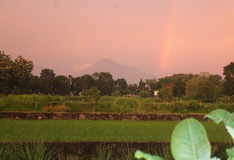 膳宿费 Alamanda Family Villas & Pool