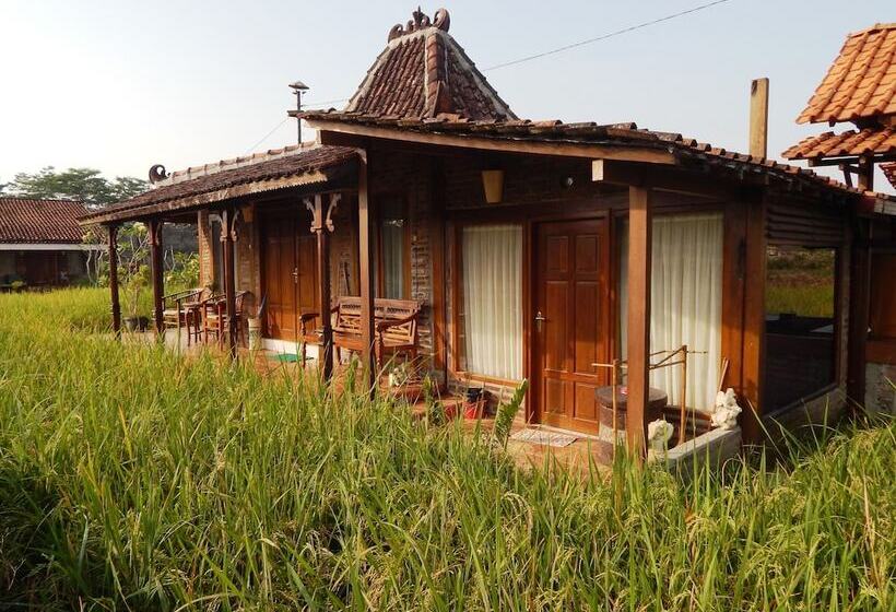 پانسیون Alamanda Family Villas & Pool