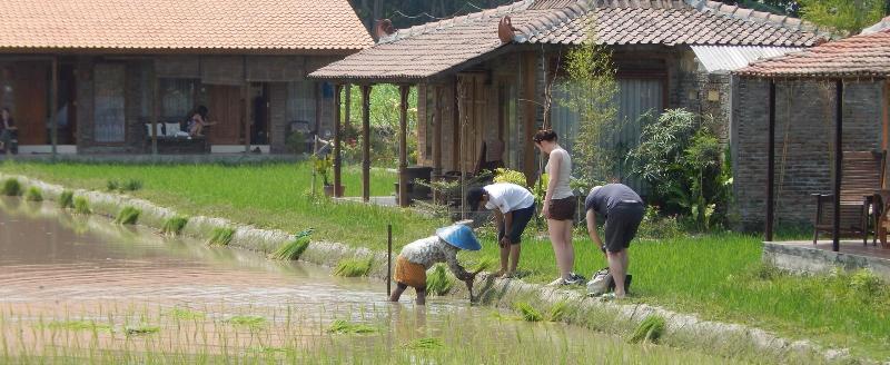 膳宿费 Alamanda Family Villas & Pool